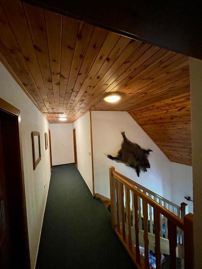 Treti Chalupa U Smrciny Janské Lázně Extérieur photo